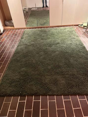 Groen vloerkleed 200x 300, uiterlijk 29 sept. Ophalen beschikbaar voor biedingen