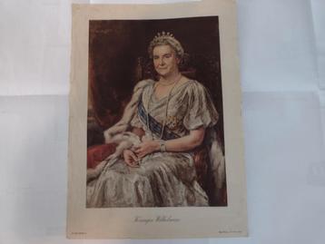 Koningin Wilhelmina Foto - 30x40cm beschikbaar voor biedingen
