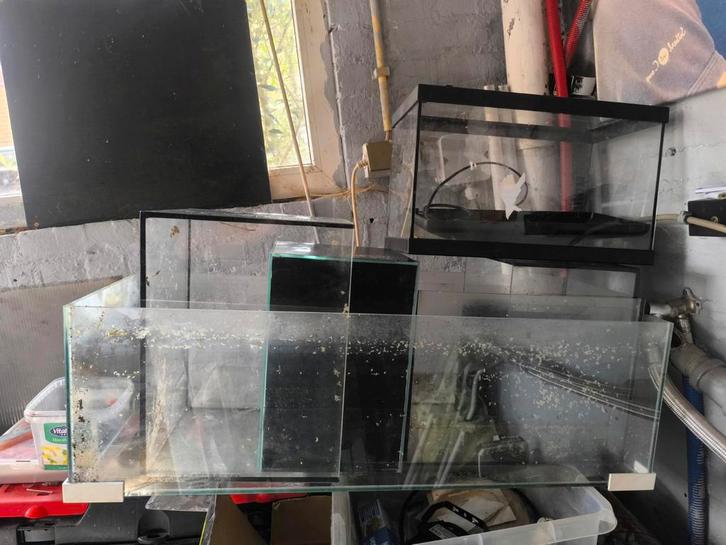 Verschillende formaten aquaria ter overname beschikbaar, Dieren en Toebehoren, Vissen | Aquaria en Toebehoren, Gebruikt, Leeg aquarium
