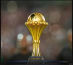 GEZOCHT AFRIKA CUP TICKETS FINALE??, Twee personen