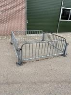 schapen hekken vanghok markthekken, Dieren en Toebehoren, Schapen, Geiten en Varkens, Vrouwelijk, Schaap