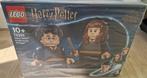 LEGO - 76393 - Harry Potter en Hermelien, Ophalen of Verzenden, Nieuw, Complete set, Lego