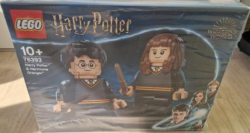 LEGO - 76393 - Harry Potter en Hermelien, Kinderen en Baby's, Speelgoed | Duplo en Lego, Nieuw, Lego, Complete set, Ophalen of Verzenden