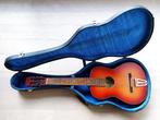 Parlor gitaar Ridi Arion uit jaren '60 met bijhorende koffer, Ophalen of Verzenden, Gebruikt, Western- of Steelstringgitaar, Met koffer