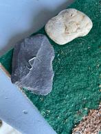 Schleich handgemaakte halsterhaakjes, Ophalen of Verzenden