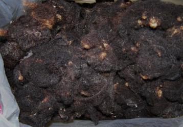 300 gram schapenwol gewassen. beschikbaar voor biedingen