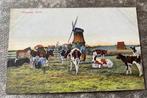 ansichtkaart van Broek ; Waterland met molen en koeien., Verzenden, Noord-Holland