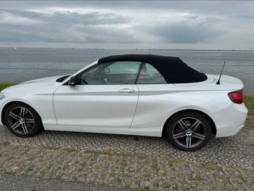 BMW 2-Serie 2.0 220IA 135KW Cabrio Aut8 2015 Wit beschikbaar voor biedingen
