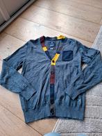 Blue Industry Vintage Vest Heren Maat M Grijs, Blue Industry, Maat 48/50 (M), Ophalen of Verzenden, Grijs