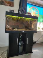 Complete aquarium, Dieren en Toebehoren, Ophalen of Verzenden, Gebruikt, Gevuld zoetwateraquarium