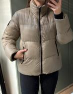 Ski jas dames 8848 Altitude, Kleding | Dames, Wintersportkleding, Ophalen of Verzenden, Zo goed als nieuw, Jack