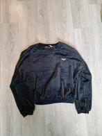 Zwarte velvet trui Hunkemöller S, Kleding | Dames, T-shirts, Zwart, Ophalen of Verzenden, Zo goed als nieuw, Lange mouw