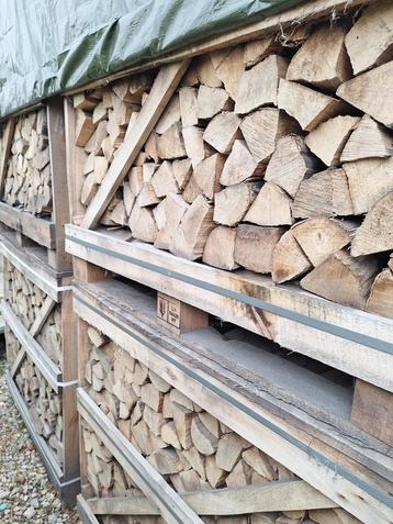 Haagbeuk brandhout/haardhout, DROOG!! beschikbaar voor biedingen