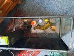 Jewel Aquarium 80Lengtex35B en hoog 45cm., Dieren en Toebehoren, Ophalen, Zo goed als nieuw, Leeg aquarium