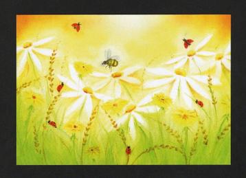 Hommel Lieveheersbeestjes Bloemen Summer Meadow. beschikbaar voor biedingen