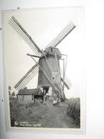 9563 Belgie-Arendonk, Beren molen, 1790-1929 met volk, Ophalen of Verzenden, 1920 tot 1940