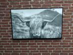 Groot schilderij met afbeelding van een Schotse hooglander, Ophalen, 100 tot 125 cm, Schilderij, 50 tot 75 cm