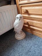 Mooie Uil Beeld, Ophalen, Zo goed als nieuw, Kunststof, Dierenbeeld