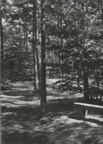 Bosch en Duin Kesselerhuis, Verzamelen, Ansichtkaarten | Nederland, Verzenden, Gelopen, Noord-Holland