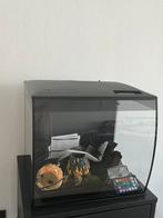 Fluval aquarium 34L zwart incl accessoires, Dieren en Toebehoren, Vissen | Aquaria en Toebehoren, Ophalen of Verzenden, Zo goed als nieuw