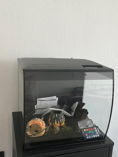 Fluval aquarium 34L zwart incl accessoires, Dieren en Toebehoren, Vissen | Aquaria en Toebehoren, Zo goed als nieuw, Ophalen of Verzenden