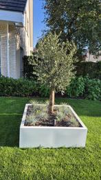 Plantenbakken, Tuin en Terras, Bloembakken en Plantenbakken, Info@plantembakkenvanstaal.nl, 3319ek, Vierkant, Nieuw