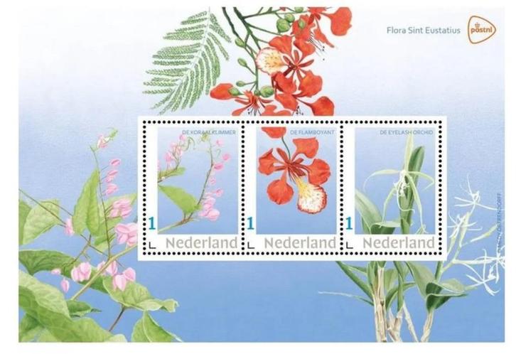 Jaar 2025 NVPH nnb Postset Flora Sint Eustatius., Postzegels en Munten, Postzegels | Nederland, Postfris, Na 1940, Ophalen of Verzenden