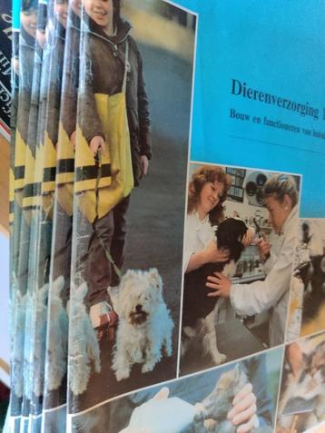 12-delige LOI cursus dierenverzorging beschikbaar voor biedingen