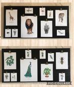 Meesie & Bintje posters / tekeningen dieren / planten, Minder dan 50 cm, Gebruikt, Verzenden, Foto of Poster