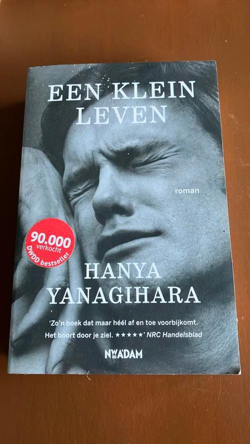 Hanya Yanagihara - Een klein leven, Boeken, Literatuur, Zo goed als nieuw, Amerika, Ophalen of Verzenden