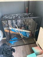 Terrarium 90x90, Ophalen, Zo goed als nieuw, Hok, Minder dan 60 cm