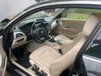 Interieur lijsten set BMW f20 f21 satin silver. Nette staat, Ophalen of Verzenden, Gebruikt, BMW