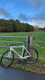 Steven Pista Fixed Gear Bike, Fietsen en Brommers, Aluminium, Zo goed als nieuw, 53 tot 57 cm, Ophalen