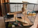 Hamsterkooi met extra elementen en reiskooitje, Minder dan 60 cm, Kooi, Minder dan 75 cm, Ophalen of Verzenden