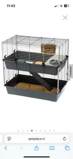 Dubbel hok voor konijnen of cavia’s, Dieren en Toebehoren, Ophalen, Gebruikt, Cavia, 90 cm of meer