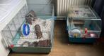 Hamsterkooi en attributen, Kooi, Gebruikt, Minder dan 75 cm, Hamster