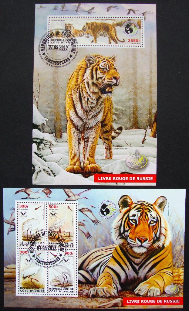 - 970 - 2 Blokken met Panter/Tijgers, uit Rusland., Postzegels en Munten, Postzegels | Thematische zegels, Gestempeld, Dier of Natuur