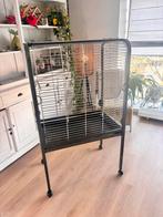 Grote vogelkooi, Dieren en Toebehoren, Mannelijk, Parkiet