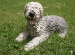 Leuk hondenbeeldje van English Sheepdog, Ophalen of Verzenden, Gebruikt, Dier
