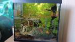 Aquarium superfish 30, Dieren en Toebehoren, Vissen | Aquaria en Toebehoren, Ophalen, Gebruikt, Gevuld zoetwateraquarium