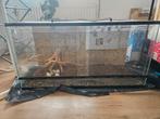 Terrarium blue lagoon 1x40x50, Dieren en Toebehoren, Reptielen en Amfibieën | Toebehoren, Ophalen