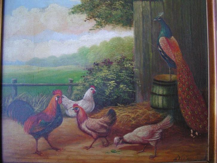 antiek schilderij Haan, kippen, pauw H Verfaillie nr LL 1153, Antiek en Kunst, Kunst | Schilderijen | Klassiek, Verzenden