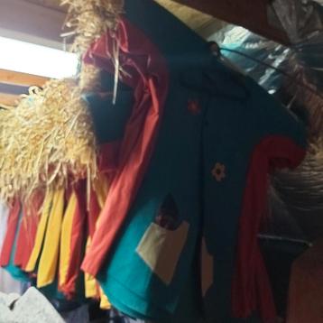 Carnavalspak Loopgroep - Uniek! beschikbaar voor biedingen