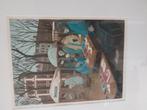 Mooi afbeelding, Antiek en Kunst, Kunst | Litho's en Zeefdrukken, Ophalen of Verzenden