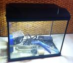 Aquarium 30 liter met toebehoren, Dieren en Toebehoren, Vissen | Aquaria en Toebehoren, Ophalen, Gebruikt, Leeg aquarium