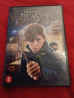 Fantastic beasts and where to find them, Cd's en Dvd's, Dvd's | Science Fiction en Fantasy, Gebruikt, Ophalen of Verzenden