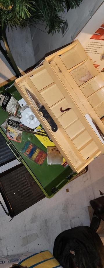 Oude Vis Koffertje met Inhoud beschikbaar voor biedingen