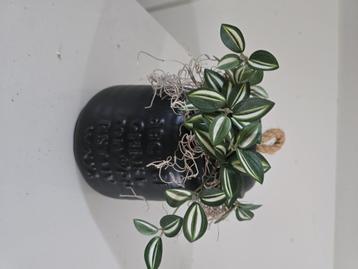 Vaasje met kunstplantje beschikbaar voor biedingen