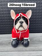 honden beeldje, Woondecoratie eindhoven, Nieuw, Ophalen of Verzenden, Woondecoratie eindhoven