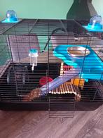 Hamsterkooi, Minder dan 60 cm, Kooi, Minder dan 75 cm, Ophalen of Verzenden